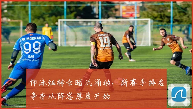 仰泳组转会暗流涌动，新赛季排名争夺从阵容厚度开始