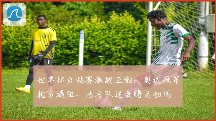 世界杯分站赛激战正酣，奥运冠军抢分遇阻，地方队逆袭曙光初现