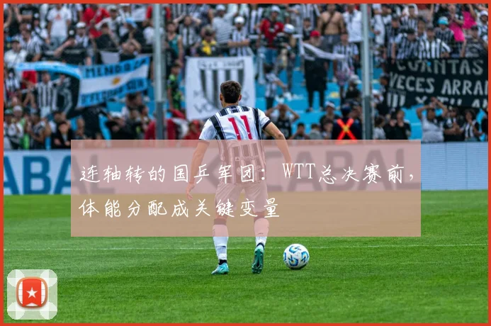 连轴转的国乒军团：WTT总决赛前，体能分配成关键变量